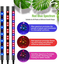 Thumbnail for Close-up of LED grow light with red and blue spectrum lights