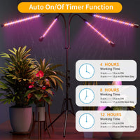 Thumbnail for Four LED light heads on grow light for plants