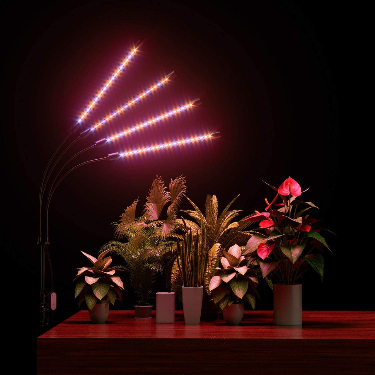 Red spectrum LEDs on grow light for flowering plants