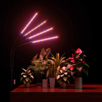 Thumbnail for Red spectrum LEDs on grow light for flowering plants