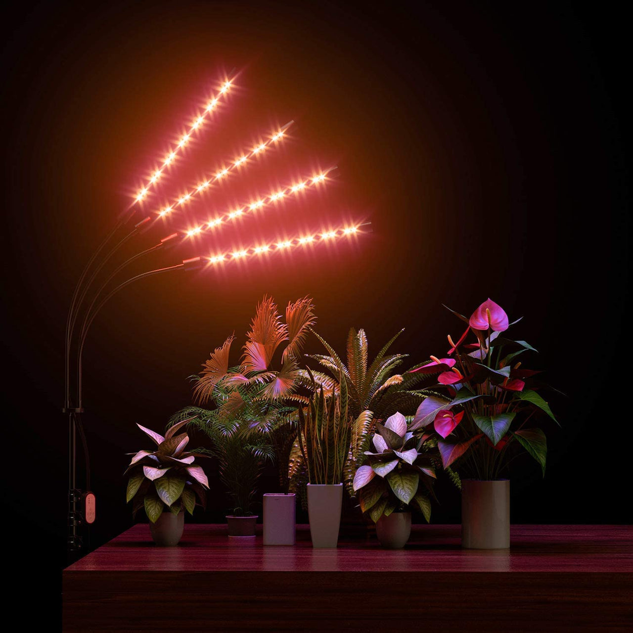 Blue spectrum LEDs on grow light for plant growth