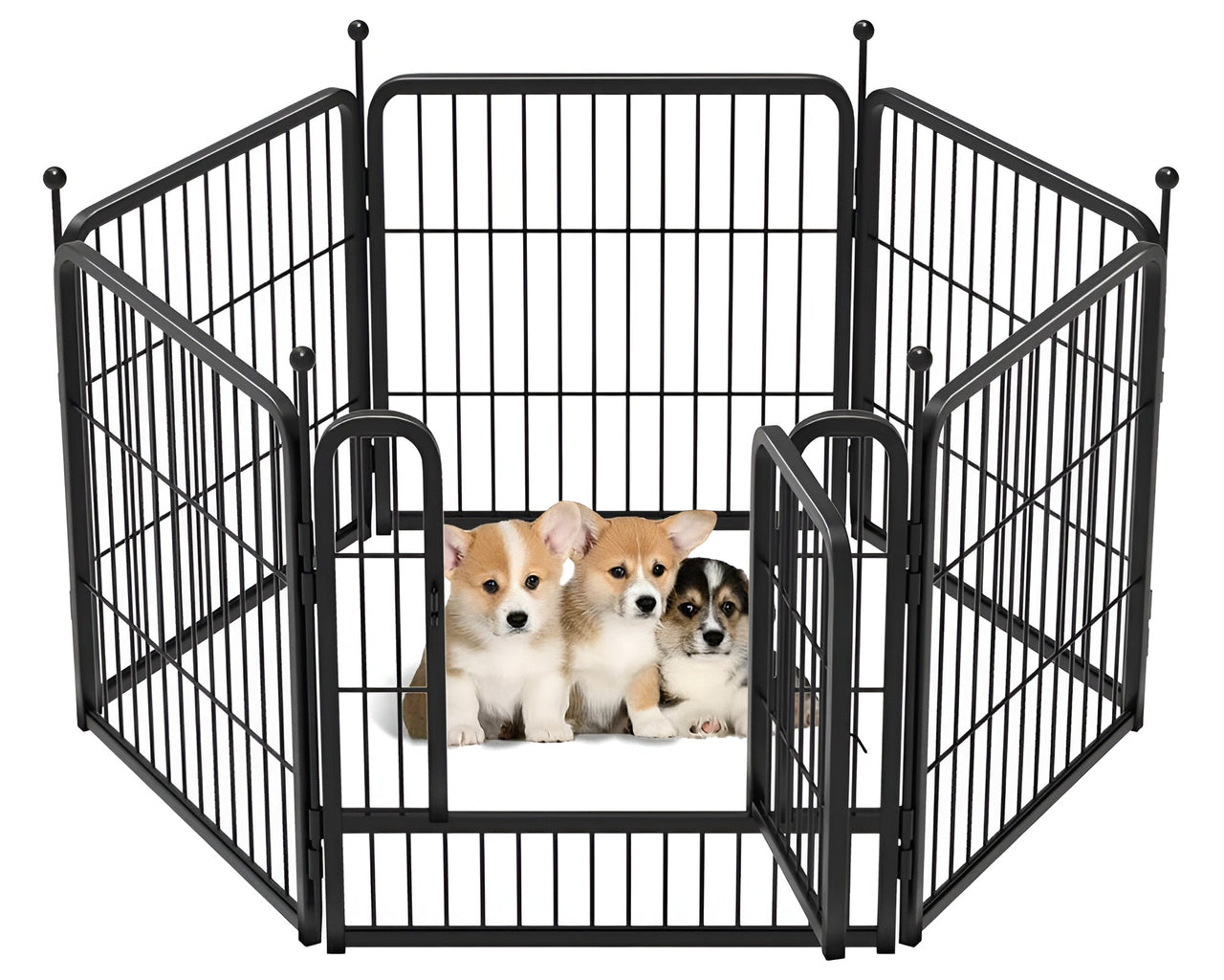Dog play pen outdoor showing rust-resistant coating