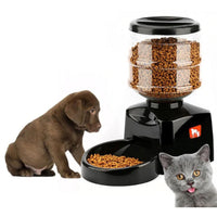 Thumbnail for Pet feeder with voice reminder feature