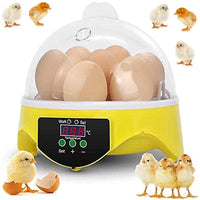 Thumbnail for Egg incubator digital display showing 38 degrees Celsius