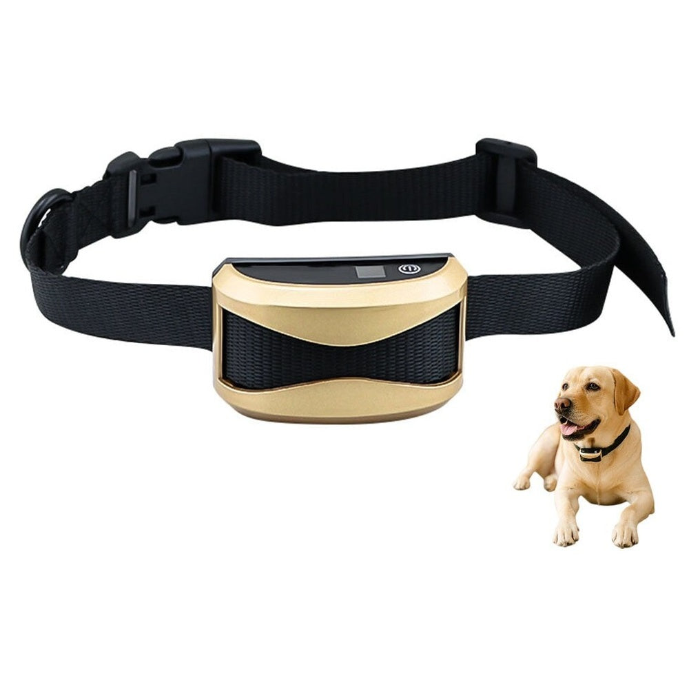 Dog collar package with USB charging cable