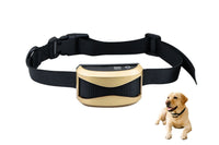 Thumbnail for Close up of collar vibration sensor and buckle