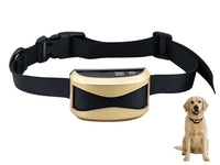 Thumbnail for Dog collar waterproof rating IP67