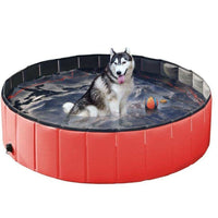 Thumbnail for Dog pet swimming pool folded for storage