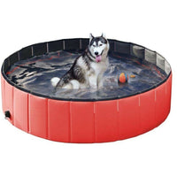 Thumbnail for Portable dog swimming pool on grass