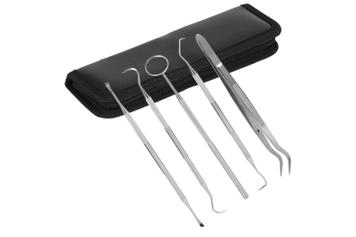 Dental scaler tool for tartar removal