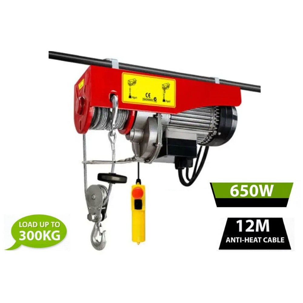 Electric hoist winch 300kg side view showing cast iron housing