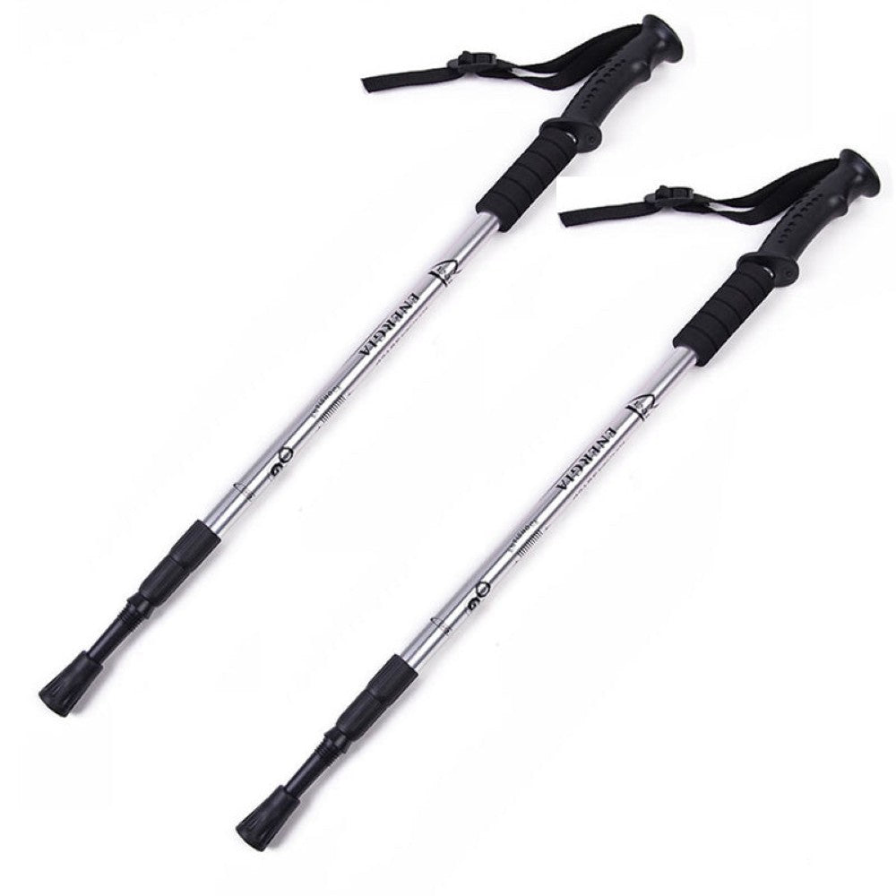 Pair of silver trekking poles adjustable length