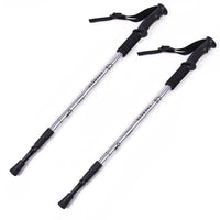 Thumbnail for Pair of silver trekking poles adjustable length