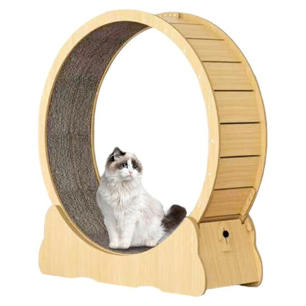 Cat Exercise Wheel Cat Scratcher Board