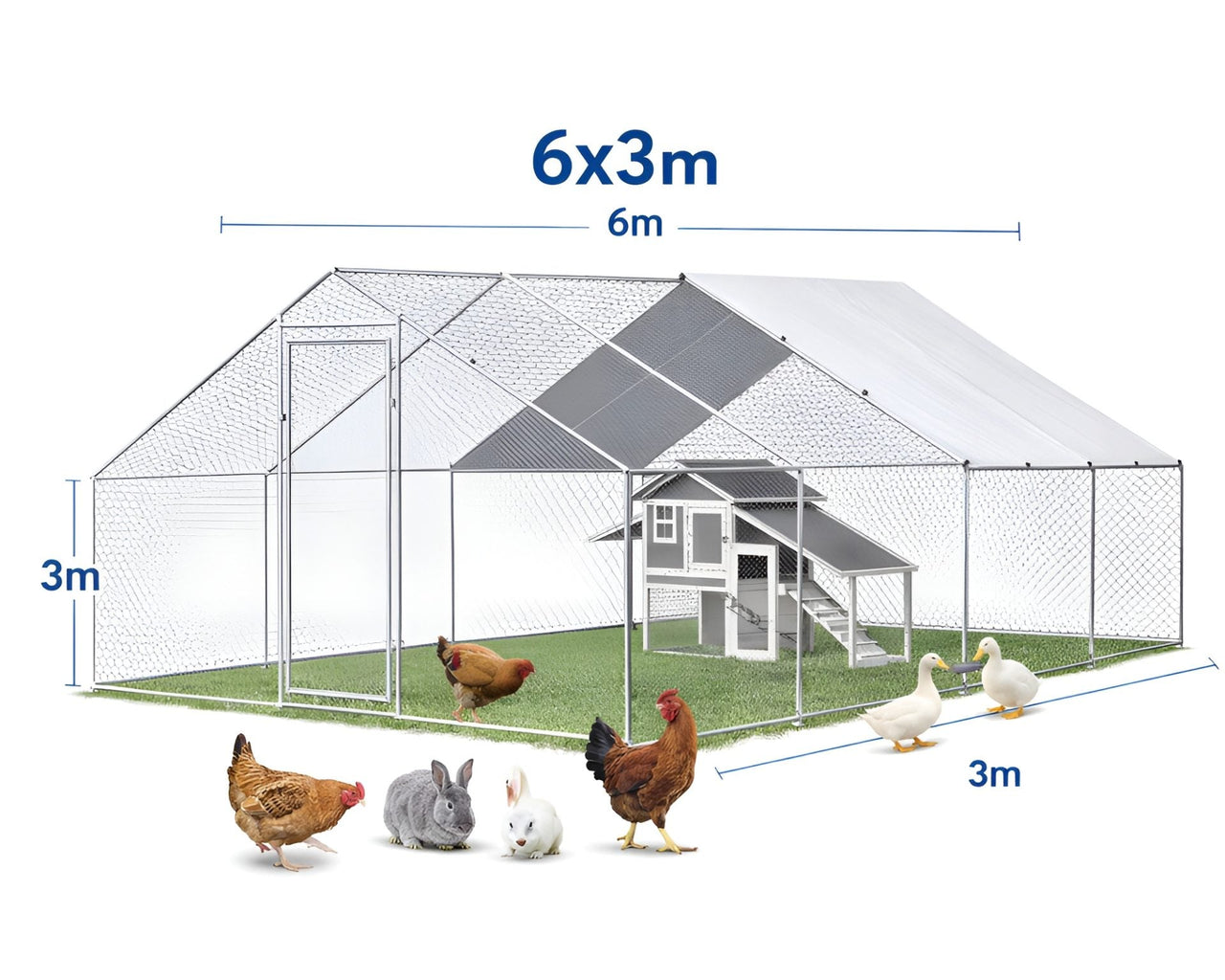 Outdoor Chicken Coop