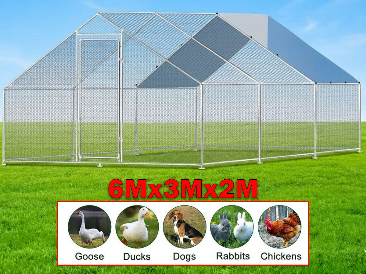 Outdoor Chicken Coop