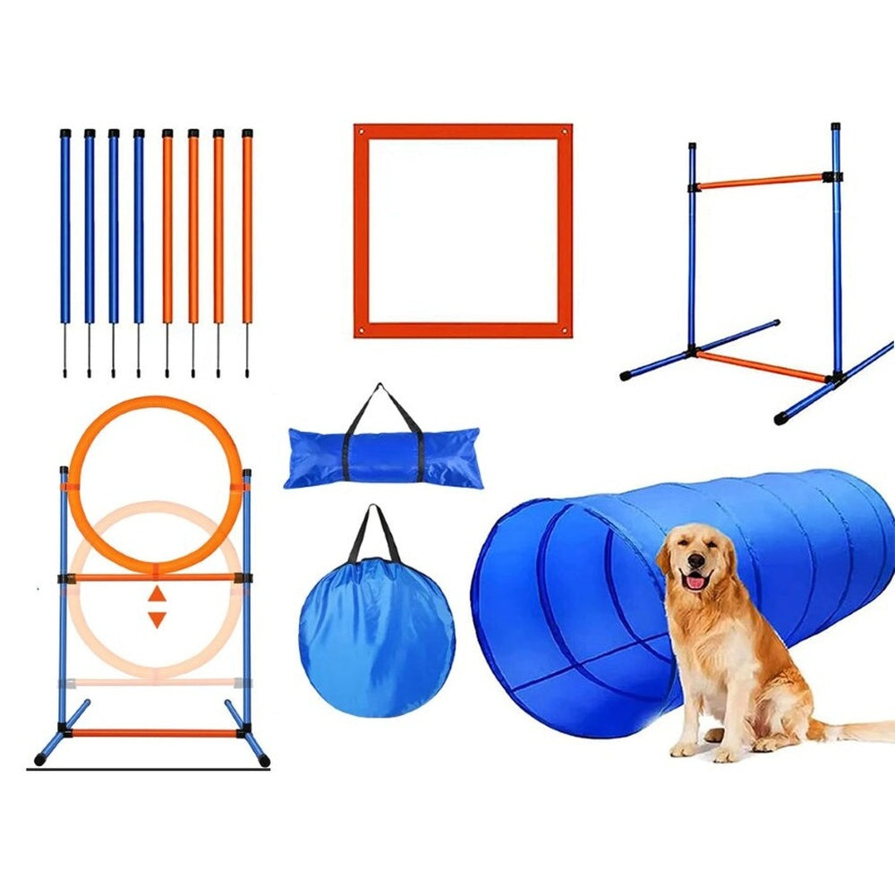 Dog agility equipment set with tunnel and jumps