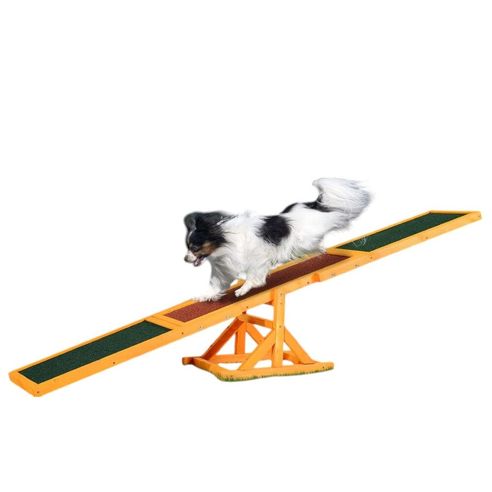 Dog Agility Equipment Seesaw