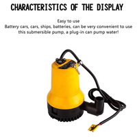 Thumbnail for Submersible Water Pump 24V
