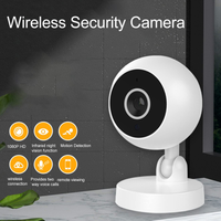 Thumbnail for CCTV Security Camera System