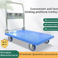 Thumbnail for Platform Hand Trolley Cart 150KG