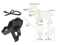 Thumbnail for Dog Harness L Size