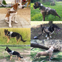Thumbnail for Dog Harness L Size