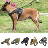Thumbnail for Dog Harness L Size