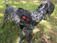 Thumbnail for Dog Harness L Size