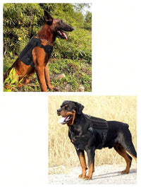 Thumbnail for Dog Harness L Size