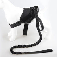 Thumbnail for Dog Harness L Size