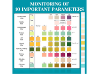 Thumbnail for Urine PH Test Strips Protein Ketone Testing Strip