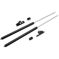 Thumbnail for Bonnet gas struts pair for Holden Commodore