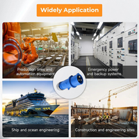 Thumbnail for Caravan Lead connector plug (Male) 16A- IP67