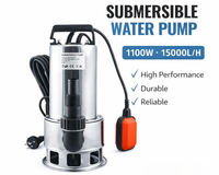 Thumbnail for 1100W Submersible Water Pump