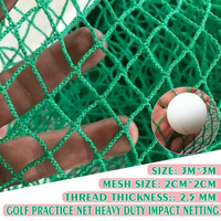 Thumbnail for 3x3M Golf Practice Net Golf Training Mesh Netting
