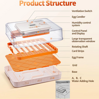 Thumbnail for Automatic Egg Incubator  56-70 Eggs