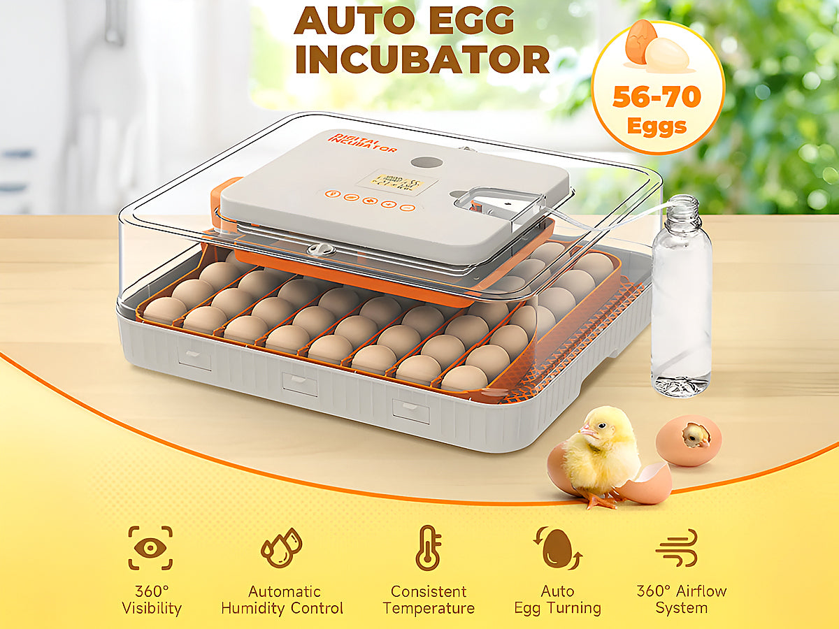 Automatic Egg Incubator  56-70 Eggs