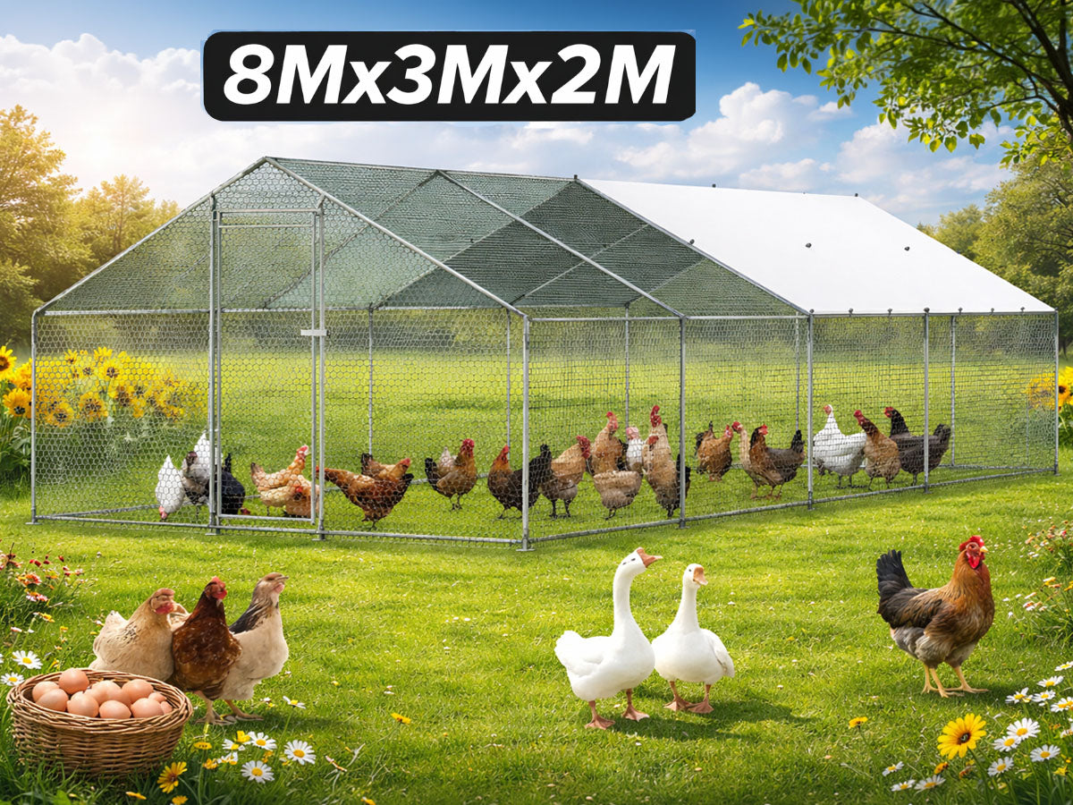 Outdoor Chicken Coop 8Mx3Mx2M