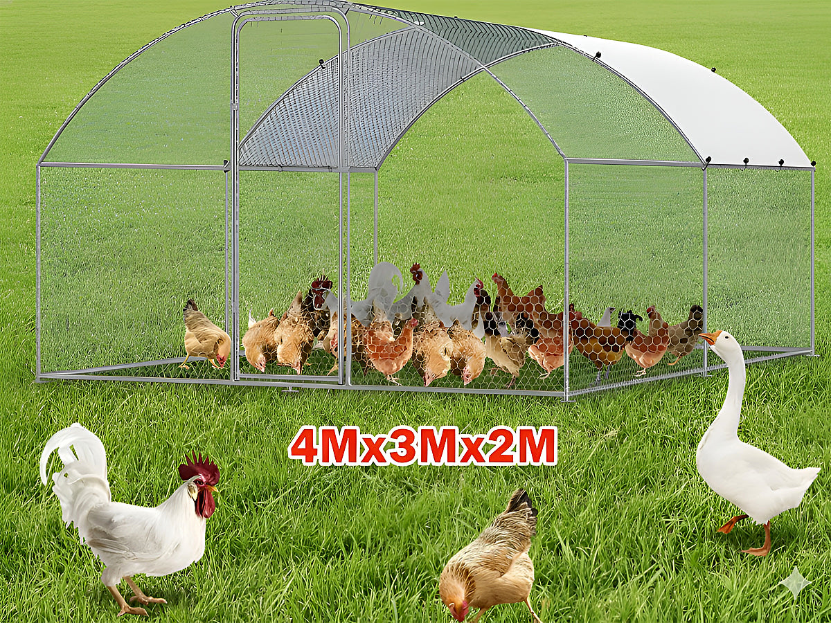 Outdoor Chicken Coop