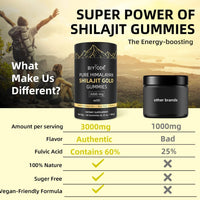 Thumbnail for Himalayan Shilajit Gummies 60 Gummies