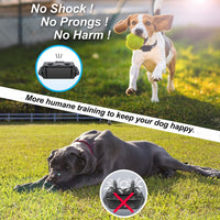 Thumbnail for Anti Bark Dog Collar