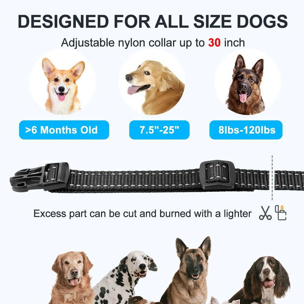 Anti Bark Dog Collar