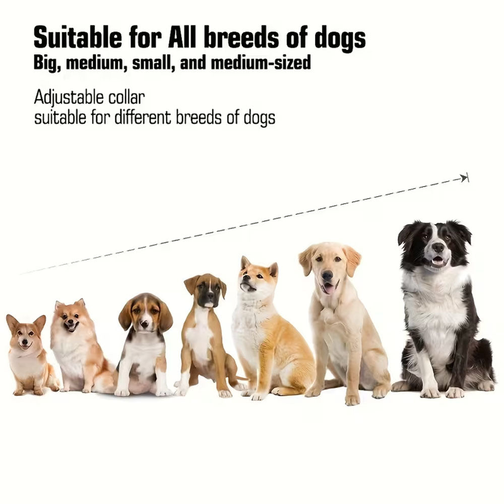 Anti Bark Dog Collar