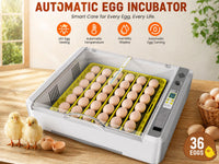 Thumbnail for Egg Incubator Hatcher