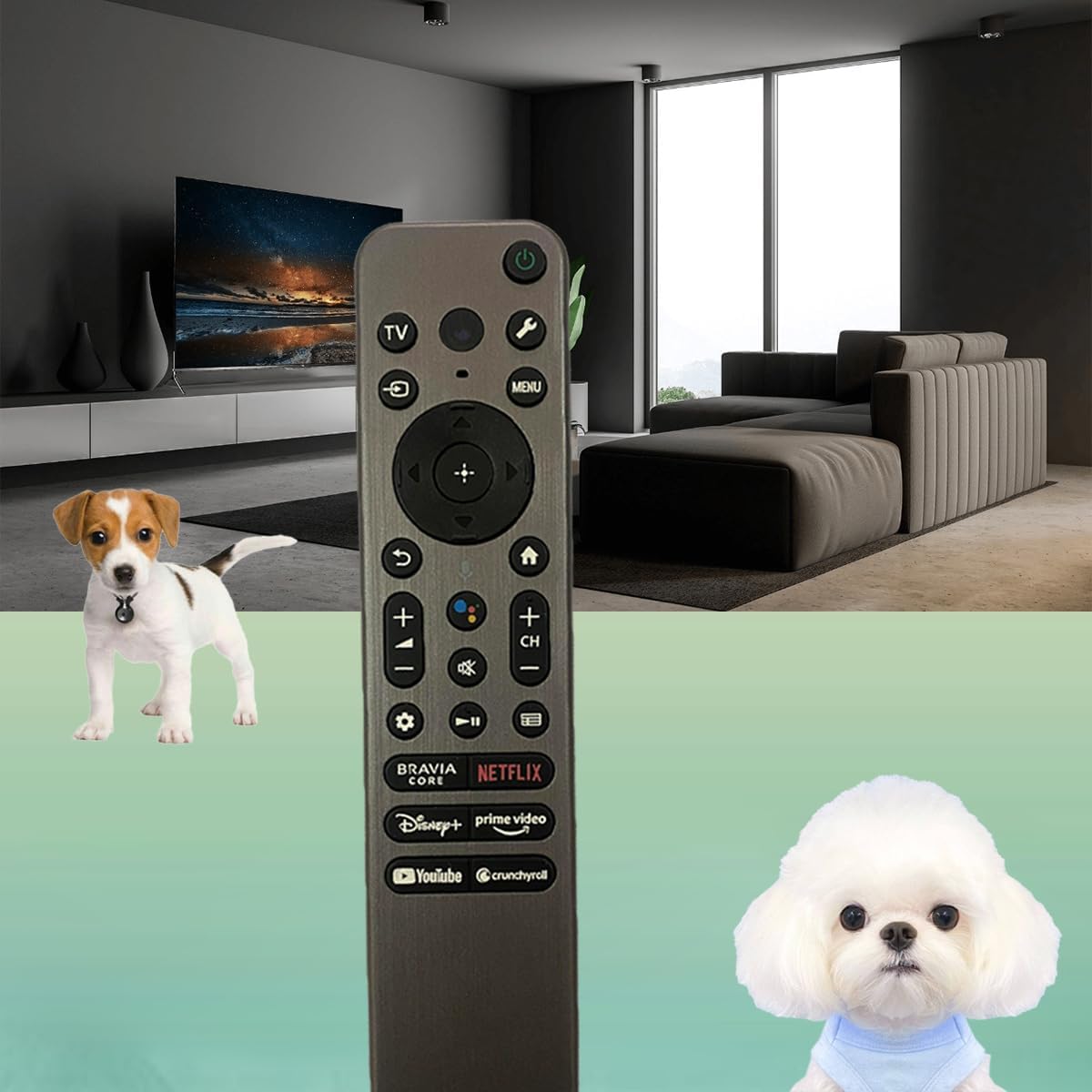 Sony TV Remote – Replacement Voice Remote for Sony Bravia Smart TVs