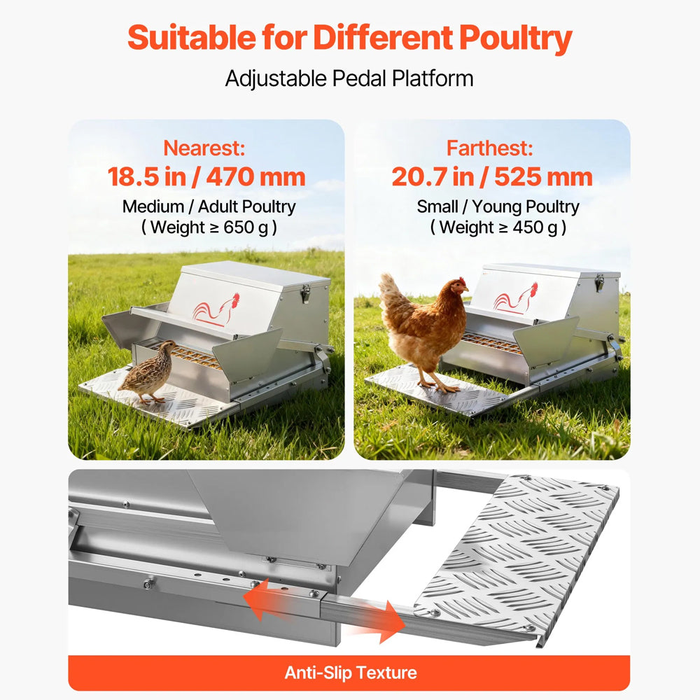 Automatic Chicken Feeder