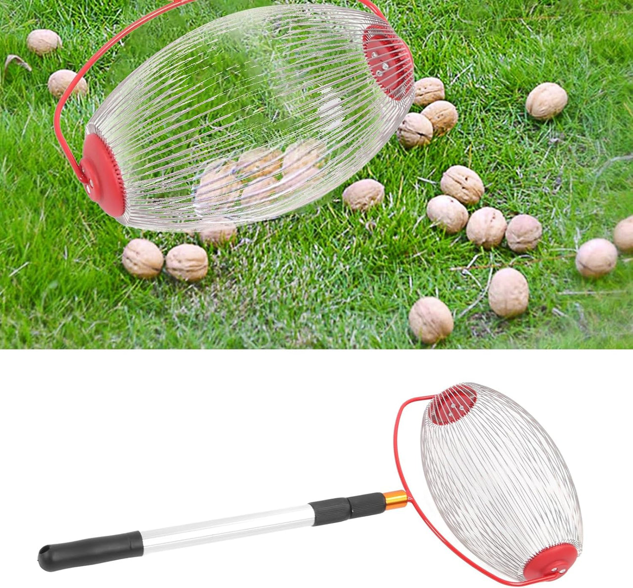 Large Nut Harvester,Outdoor Adjustable Lightweight Hand Tools