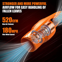 Thumbnail for Cordless Leaf Blower