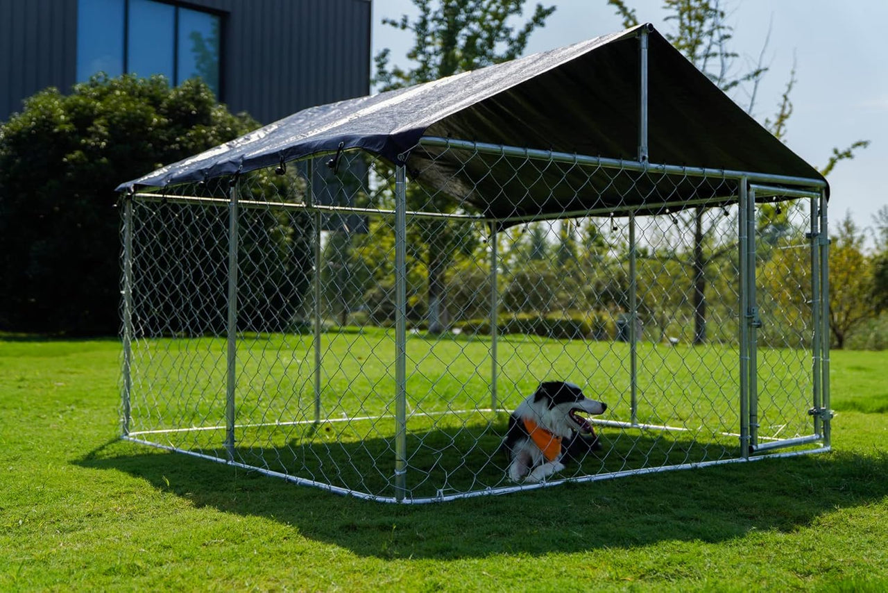 Outdoor Dog Run with Shade Sail
